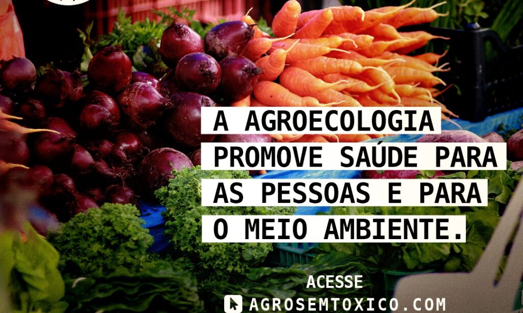 Fórum Gaúcho de Combate aos Impactos dos Agrotóxicos lança campanha Agro sem Tóxico