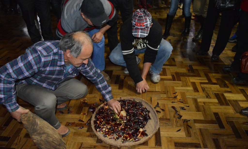 FESTA DO AGRICULTOR É SUCESSO EM SÃO PEDRO