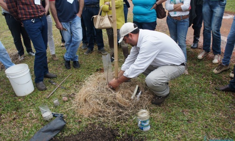 STR VISITA VIVEIRO DE NOGUEIRA-PECÃ EM CACHOEIRA DO SUL