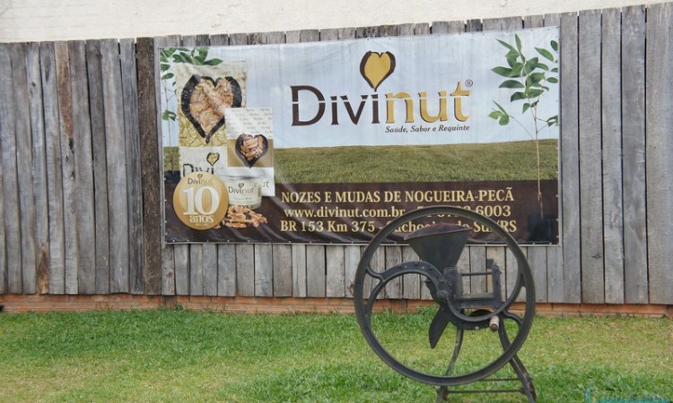 STR VISITA VIVEIRO DE NOGUEIRA-PECÃ EM CACHOEIRA DO SUL