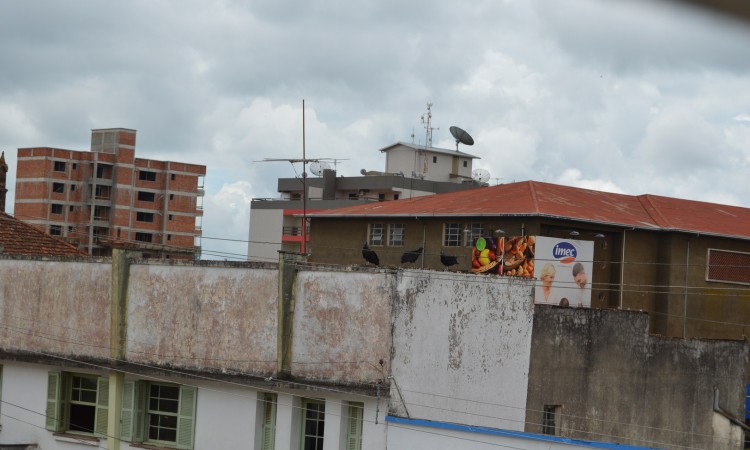 PLANO SAFRA DA MAÇÃ É LANÇADO EM VACARIA