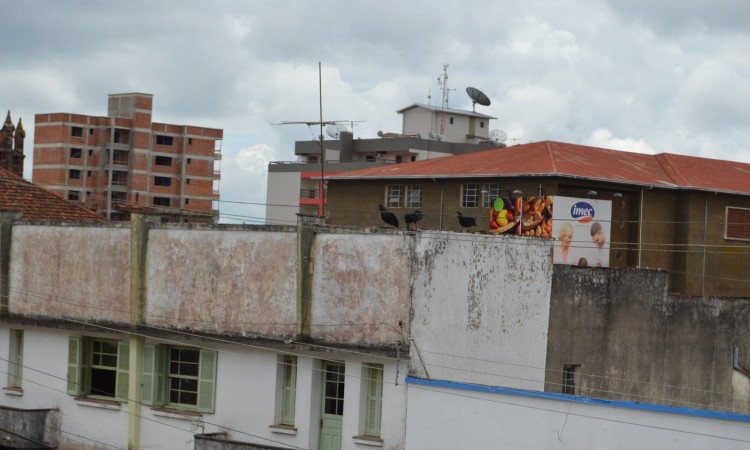 PLANO SAFRA DA MAÇÃ É LANÇADO EM VACARIA
