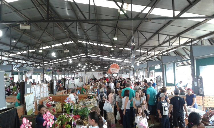 SAFRA DAS PEQUENAS FRUTAS DEVE COLHER 3.500 TONELADAS