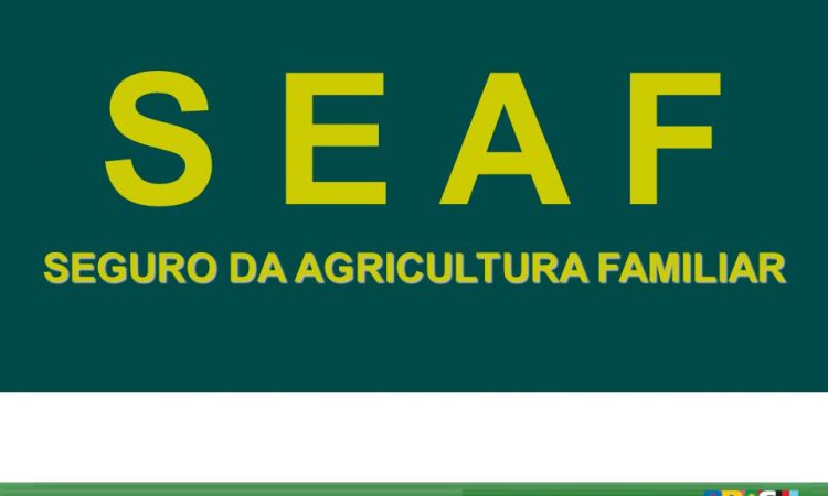 Medida amplia a cobertura do Seguro da Agricultura Familiar