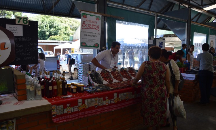 Feira de Pequenas Frutas Movimentou bom publico no final de semana