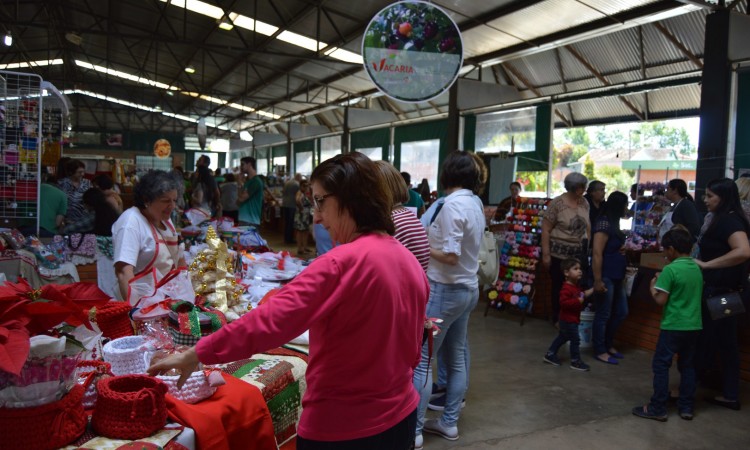 Feira de Pequenas Frutas Movimentou bom publico no final de semana