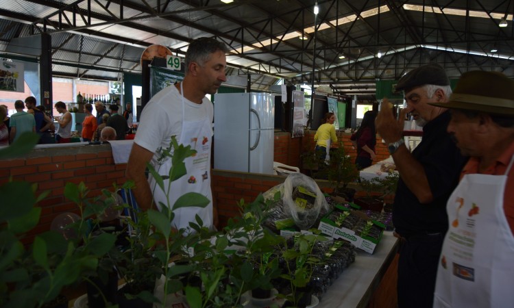 Feira de Pequenas Frutas Movimentou bom publico no final de semana