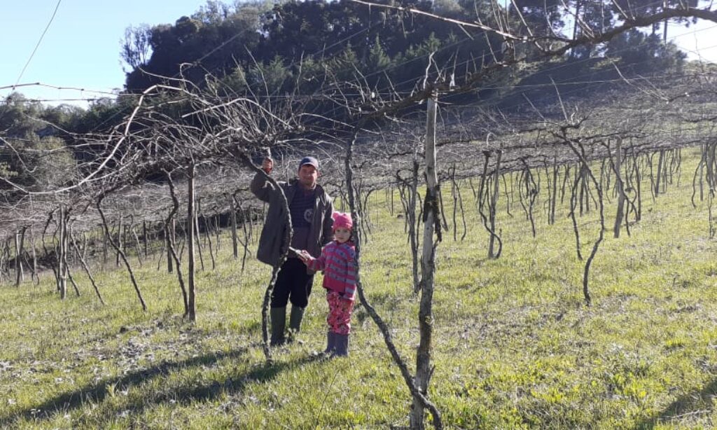 Programa Vida Rural 24 de Julho de 2021