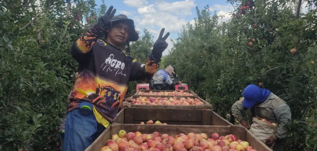 Comitiva do Mato Grosso do Sul visita Vacaria para avaliar condições de trabalho de indígenas na colheita da maçã
