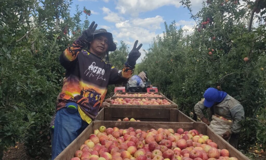 Comitiva do Mato Grosso do Sul visita Vacaria para avaliar condições de trabalho de indígenas na colheita da maçã
